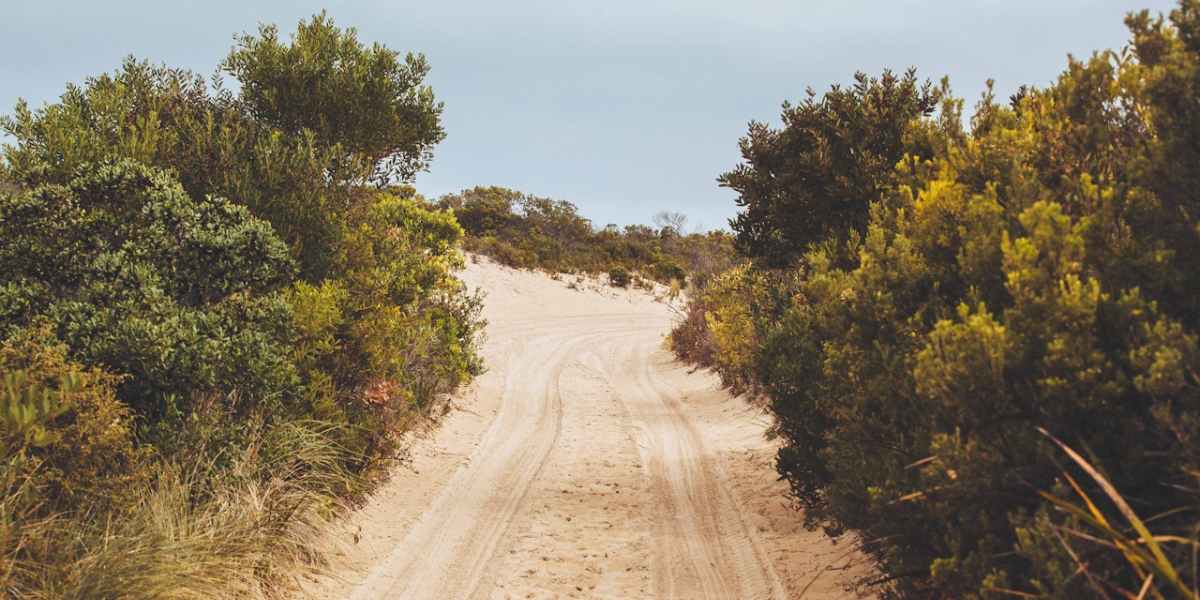 a sandy road leading to the ocean