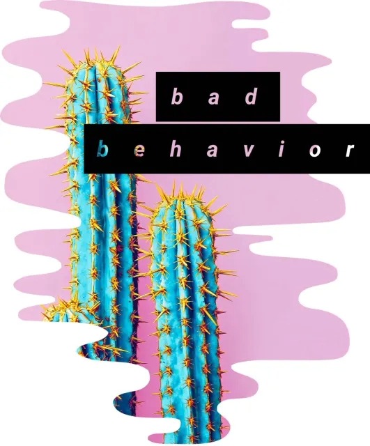 Bad Behavior