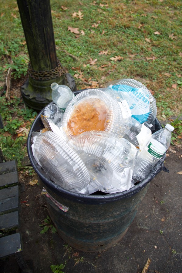 the trash after the lesbian pie eating contest