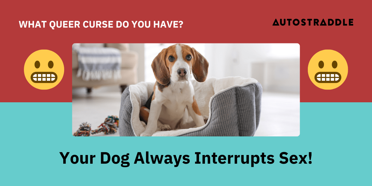 your dog always interrupts sex