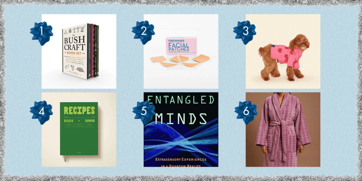 a boxed set about survival, frownies, a strawberry sweater for a dog, a recipe journal, a book called entangled minds, and a plush robe