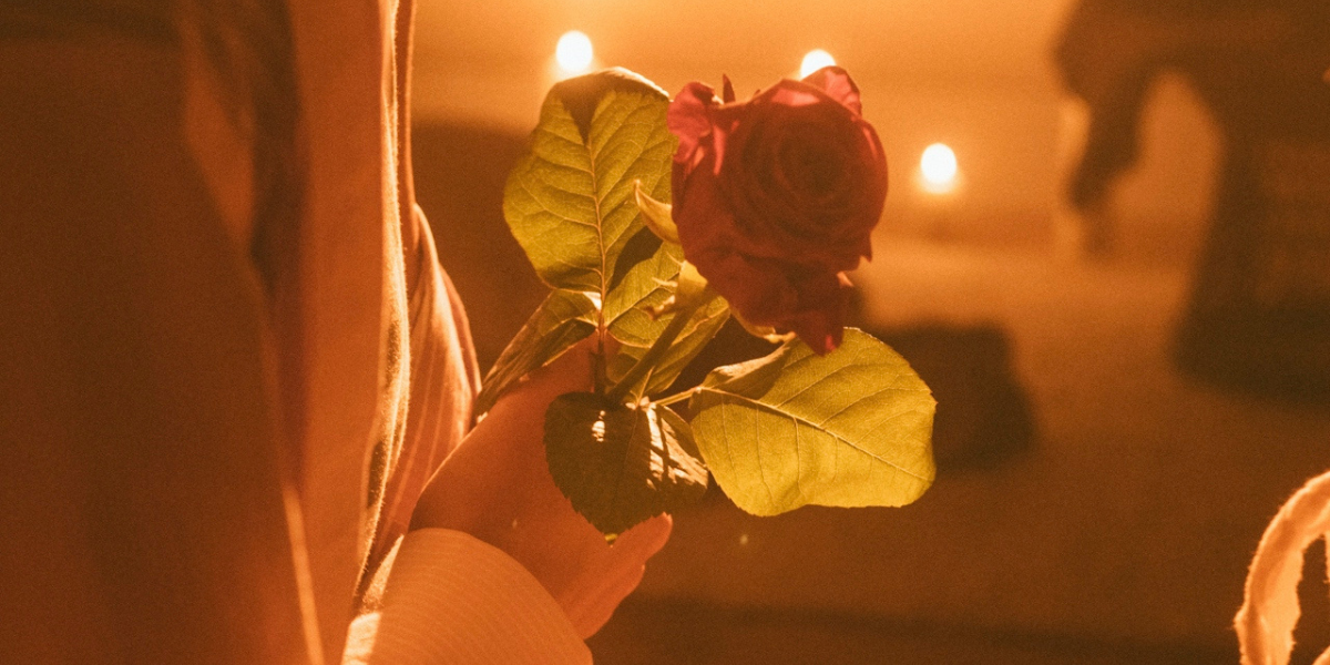 a person holding a rose