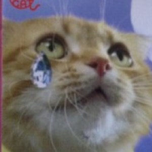Profile picture of *