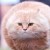 Profile picture of Rachel