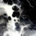 Profile picture of Rookbrains