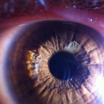 Profile picture of Adriana