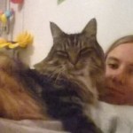 Profile picture of Ali