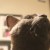 Profile picture of O.