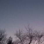 Profile picture of Jasmin