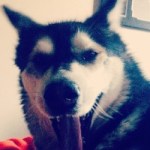 Profile picture of witchesandwolves