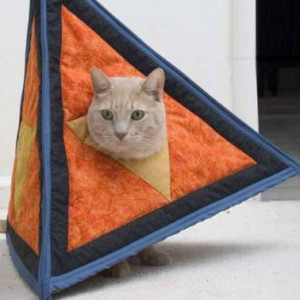 Profile gravatar of Triangle Cat
