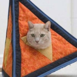 Profile picture of Triangle Cat