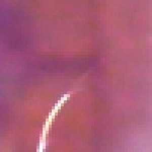 Profile picture of esther