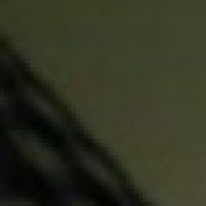 Profile picture of Alicia
