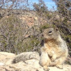 Profile gravatar of Aimless
