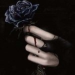 Profile picture of Spooky