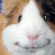 Profile picture of Silvia