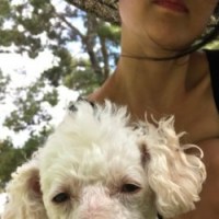 S. Désirée Tiamat Cha profile image