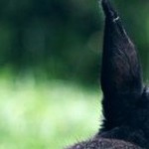 Profile picture of Samantha