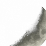 Profile picture of Nicole