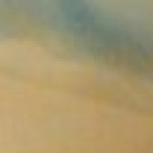 Profile picture of Camigra