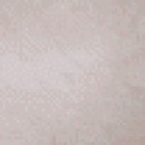 Profile picture of Lisa