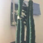 Profile picture of book2bike