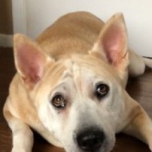 Profile picture of Alex