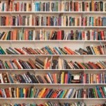 Profile picture of Lauren