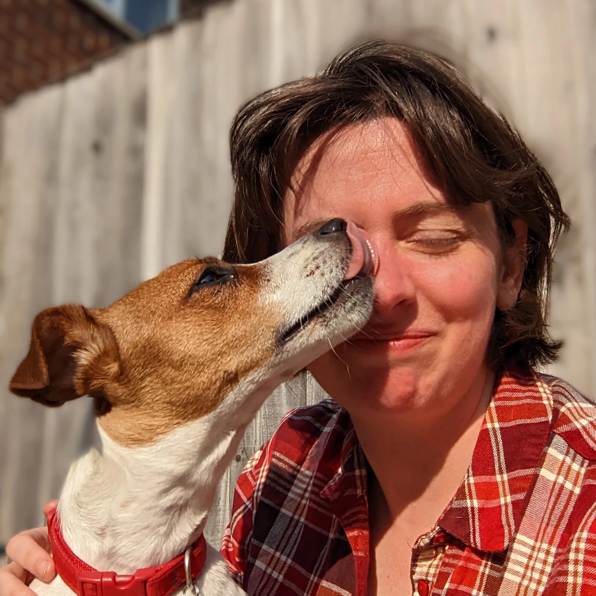 Sally profile image